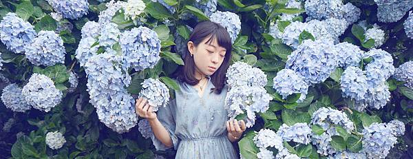 DSC06541-1.jpg DSC06541-1.jpg