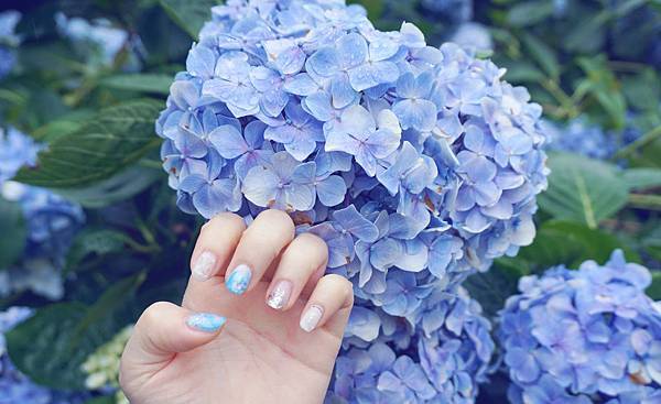 DSC06557-1.jpg DSC06557-1.jpg