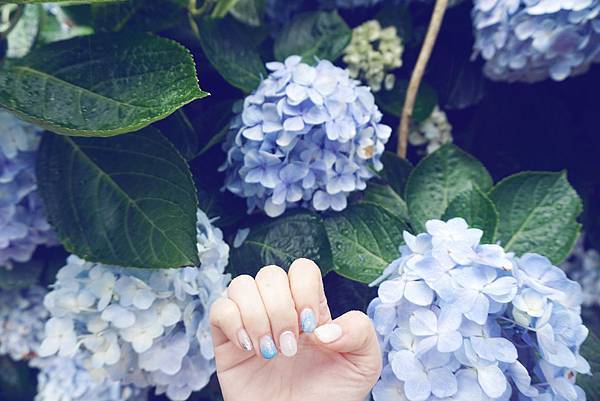 DSC06592-1.jpg DSC06592-1.jpg