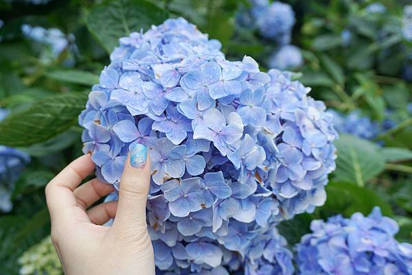 DSC06552-1.jpg DSC06552-1.jpg