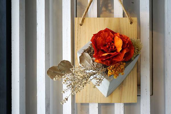 DSC01565-1.jpg DSC01565-1.jpg