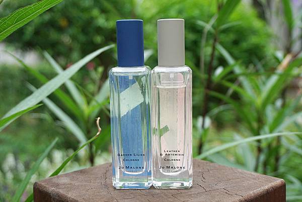 DSC05914-1.jpg DSC05914-1.jpg