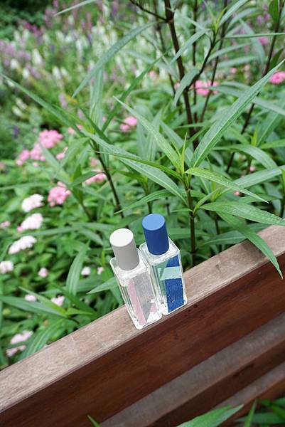 DSC05908-1.jpg DSC05908-1.jpg