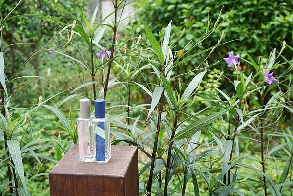 DSC05901-1.jpg DSC05901-1.jpg