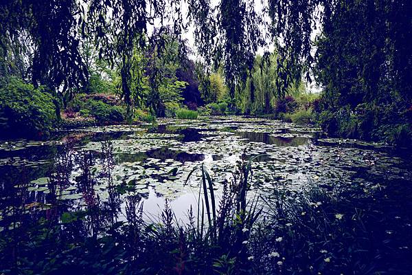 DSC08722-1.jpg DSC08722-1.jpg