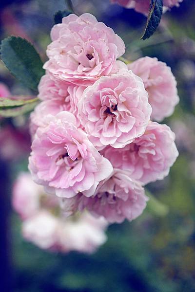 DSC08589-1.jpg DSC08589-1.jpg