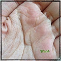 thumb