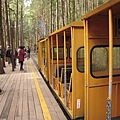 太平山-蹦蹦車