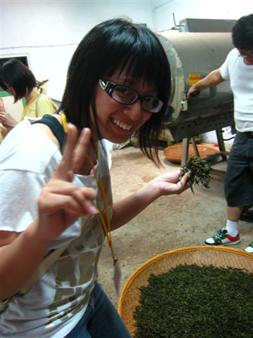 師傅正在檢查剛炒好的茶