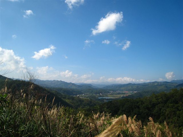 091213草嶺古道 013.jpg
