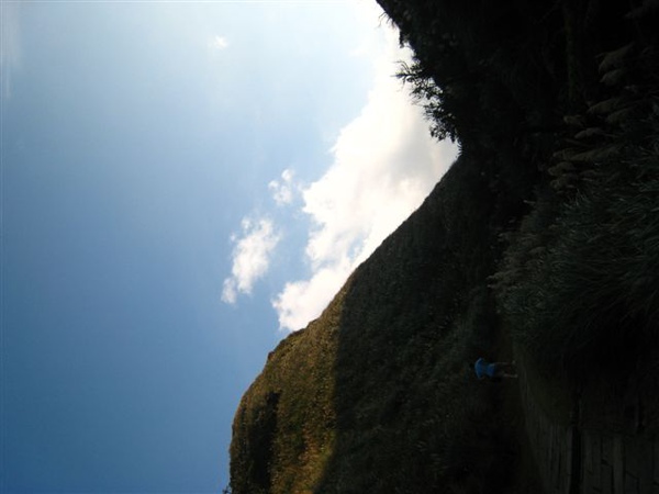 091213草嶺古道 053.jpg