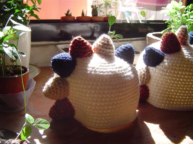 DSC01540 (Small).JPG DSC01540 (Small).JPG