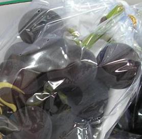 headP1010217 (Small).JPG headP1010217 (Small).JPG