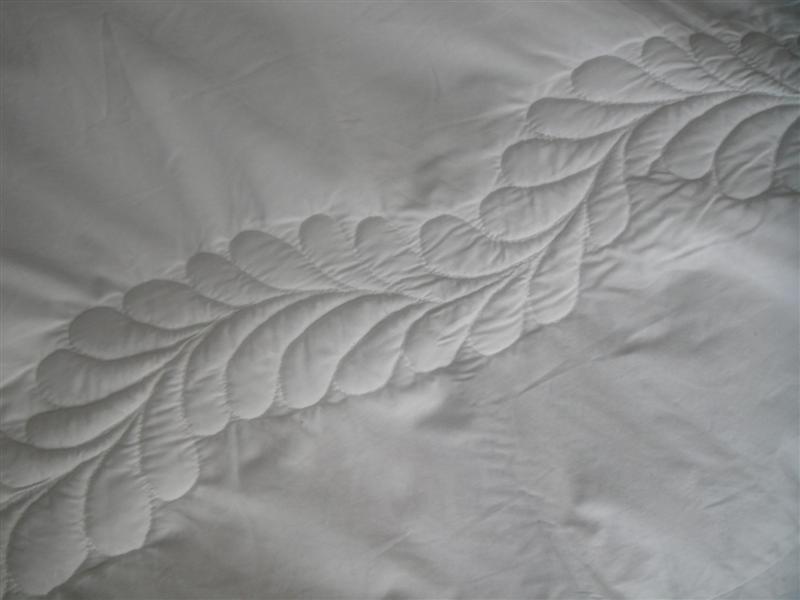 DSC03899 (Medium).JPG DSC03899 (Medium).JPG