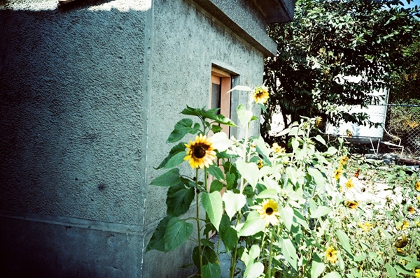 02120006.JPG 02120006.JPG
