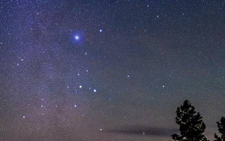 「太阳豹之月」~(2025/3/7~04/03)