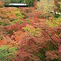 東福寺