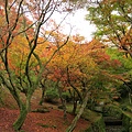 東福寺