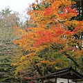 石山寺