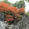 石山寺