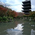 東寺