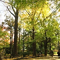 大山崎山莊美術館