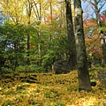 大山崎山莊美術館