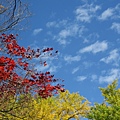 大山崎山莊美術館