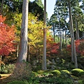 三千院