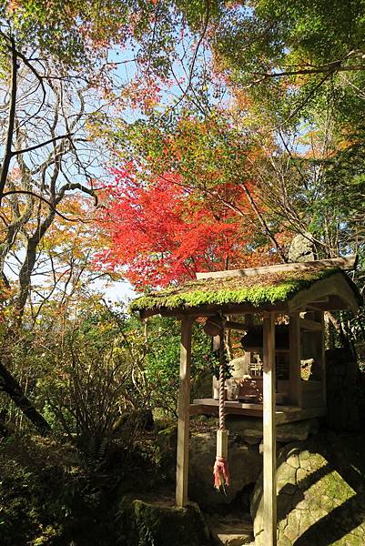 寶泉院