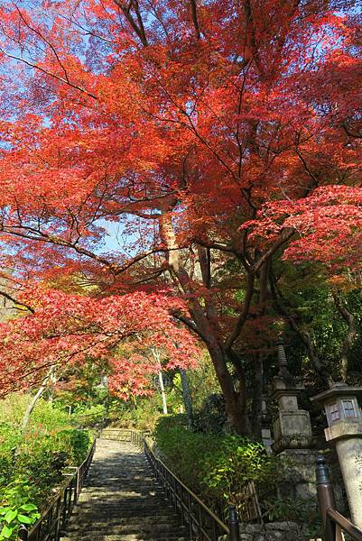 長谷寺