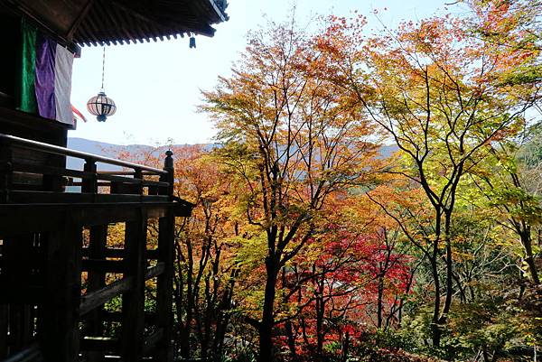 長谷寺