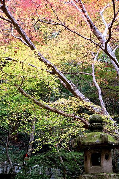 室生寺