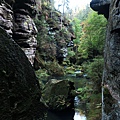 Kamenice Gorge's river