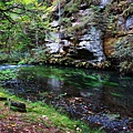 Kamenice Gorge's river