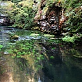 Kamenice Gorge's river