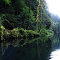 Kamenice Gorge's river