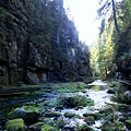 Kamenice Gorge's rivers_IMG_8647.JPG