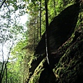 Kamenice Gorge's river