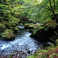 Kamenice Gorge's river