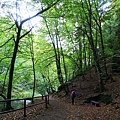 Kamenice Gorge's river