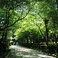 永平寺參道