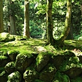 永平寺參道