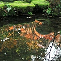 三千院