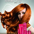 WELLA-相框-蔓森.jpg