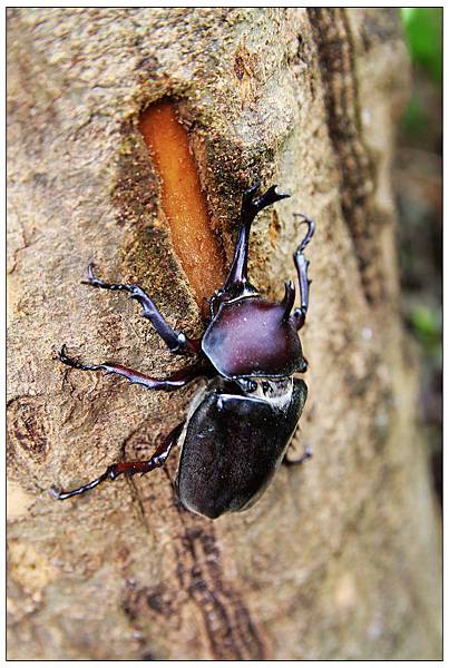 nEO_IMG_IMG_9482.jpg nEO_IMG_IMG_9482.jpg