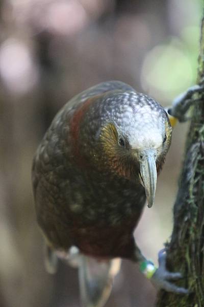 20130922 Kaka