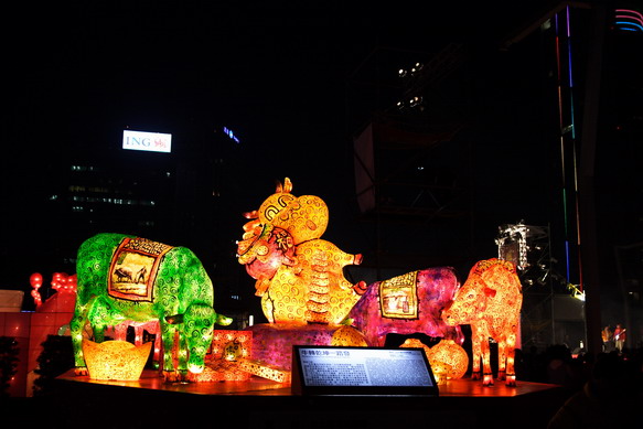 light_flower_show_0058.JPG