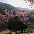 2010_WuLin_0028.JPG