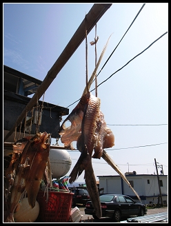 蘭嶼 飛魚乾